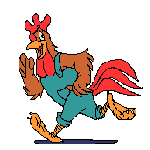 rooster-02-june